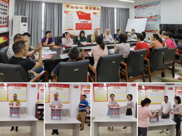 市环发公司召开支部党员大会传达学习省第八次党代会精神暨进行支委会换届选举(图7)