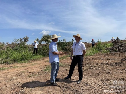 市环发公司积极协调，主动担当，高效推进海口市琼山区三门坡镇中埇村土地整治项目清杂工作(图3)