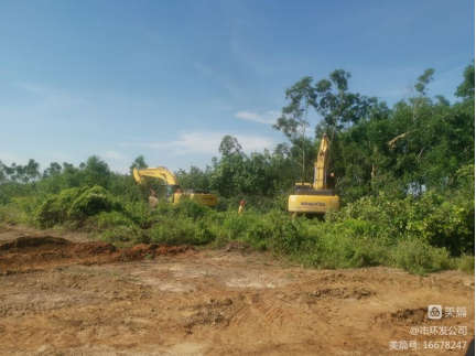 市环发公司积极协调，主动担当，高效推进海口市琼山区三门坡镇中埇村土地整治项目清杂工作(图9)