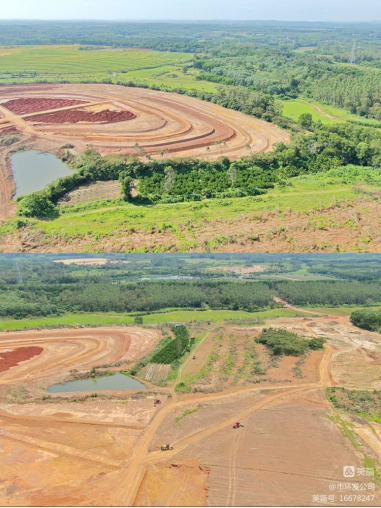 市环发公司积极协调，主动担当，高效推进海口市琼山区三门坡镇中埇村土地整治项目清杂工作(图11)