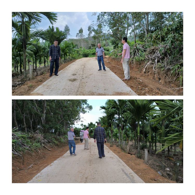 市环发公司党委书记王蜂带队调研督导乡村振兴工作(图4)