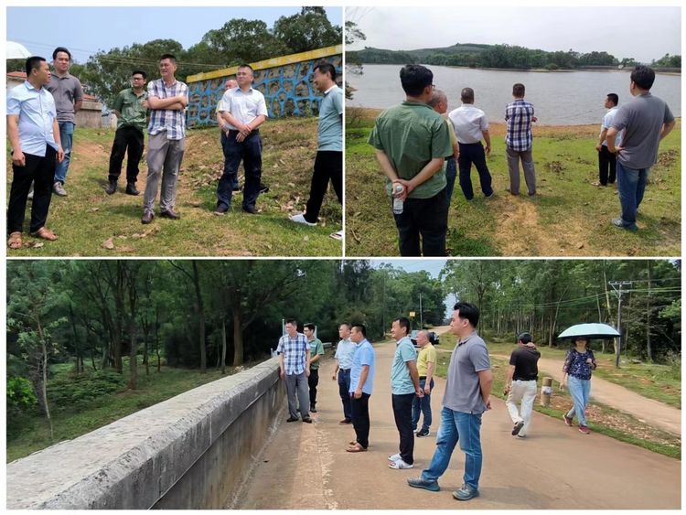 市环发公司党委书记王蜂带队深入帮扶村调研谋划乡村振兴产业工作(图2)