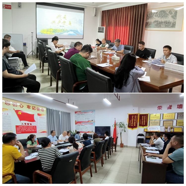 市环发公司党支部召开党的二十大精神专题学习会暨增补支委选举大会