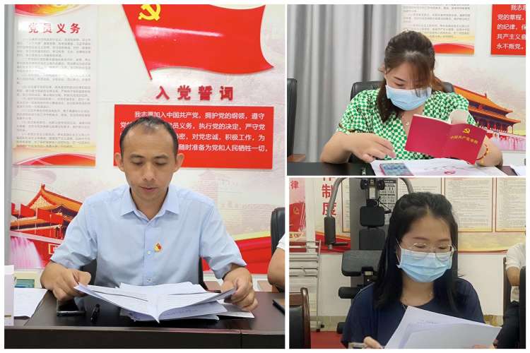 市环发公司党支部召开党的二十大精神专题学习会暨增补支委选举大会(图3)