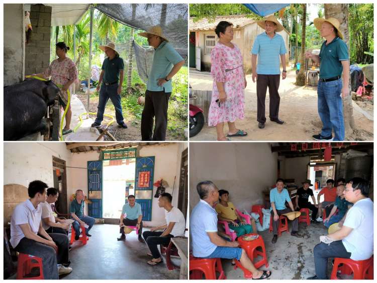 市环发公司赴青云村委会调研巩固脱贫攻坚成果与乡村振兴有效衔接工作(图2)