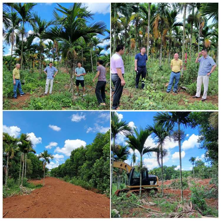 市环发公司深入结对帮扶村召开帮扶产业发展专题会(图4)