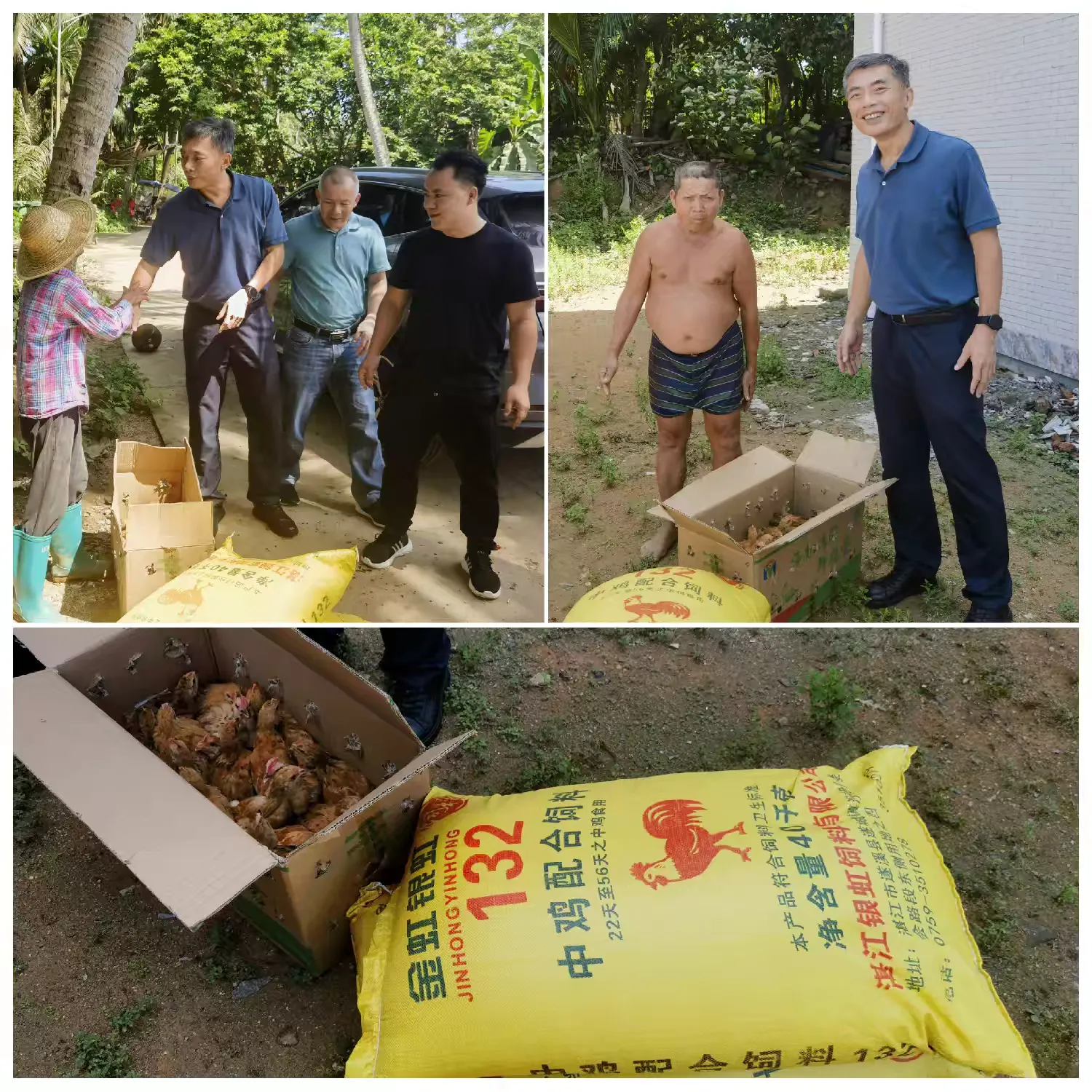 市环发公司党委副书记林明智带队到帮扶村开展慰问乡村振兴工作人员和帮扶相对稳定户工作(图2)