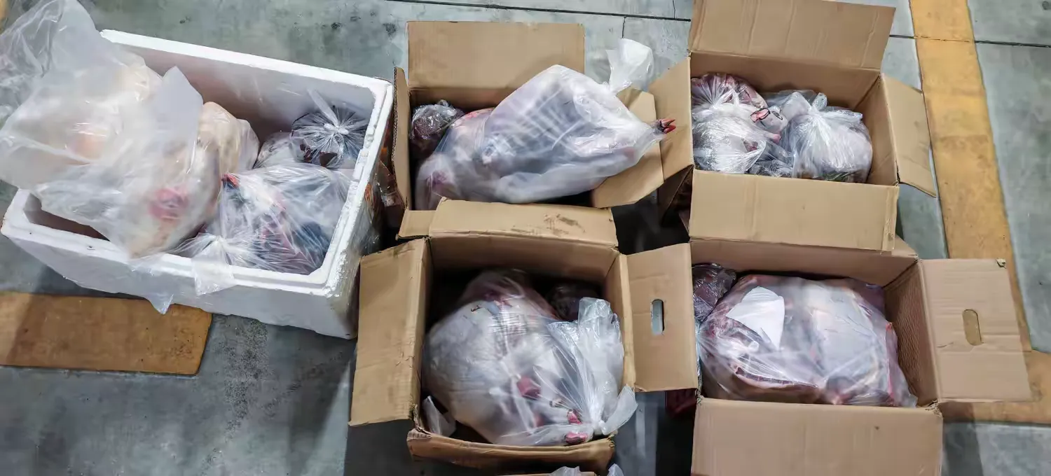 迎新春 送温暖——市环发公司深入青云村开展元旦春节期间走访慰问送温暖活动(图8)